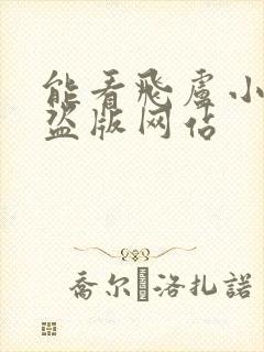 能看飞卢小说的盗版网站封面