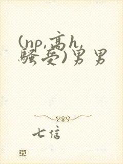 (np,高h,骚受)男男