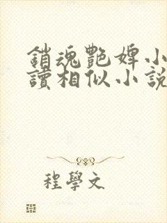 销魂艳婢小说阅读相似小说