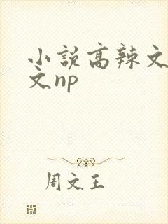 小说高辣文高h文np