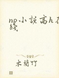 np小说高h在线
