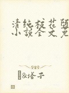 清纯校花堕落记小说全文免费阅读金鑫鑫