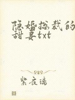 隐婚总裁的绯闻甜妻txt