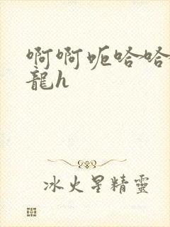 啊啊呃哈哈嗯双龙h