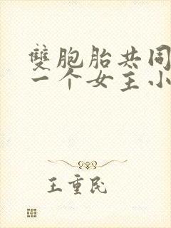 双胞胎共同享有一个女主小说封面