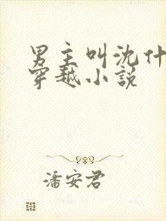 男主叫沈什么的穿越小说