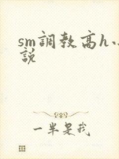 sm调教高h小说