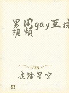 男同gay互操视频