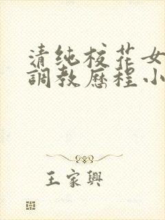 清纯校花女友的调教历程小说