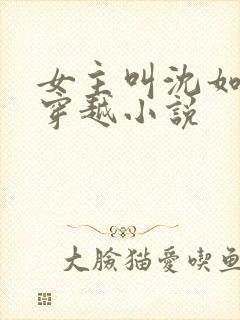 女主叫沈如意的穿越小说封面