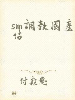 sm调教国产网站封面