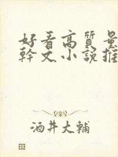 好看高质量的高干文小说推荐