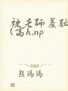 被老师羞耻调教(高h,np