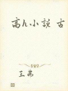 高h小说 古言