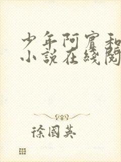 少年阿宾和慧珏小说在线阅读