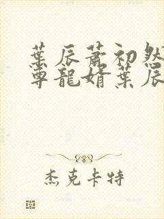 叶辰萧初然 至尊龙婿叶辰封面