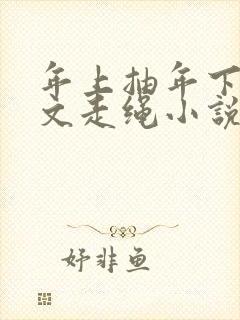 年上抽年下训诫文走绳小说封面