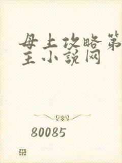 母上攻略第一版主小说网