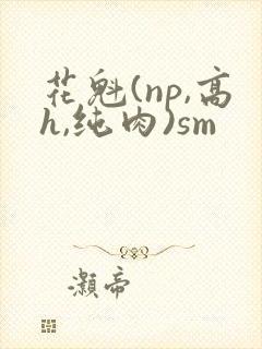 花魁(np,高h,纯肉)sm