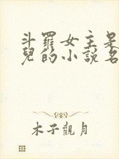 斗罗女主是水冰儿的小说名字