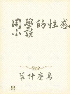 同学的性感妈妈小说封面