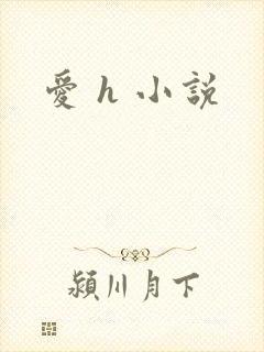 爱 h 小说封面