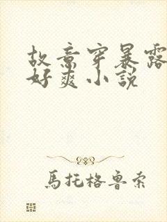 故意穿暴露被强好爽小说