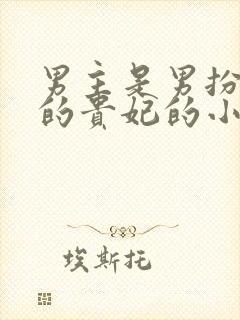 男主是男扮女装的贵妃的小说