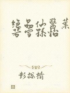 绝品仙医叶辰夏若雪孙怡