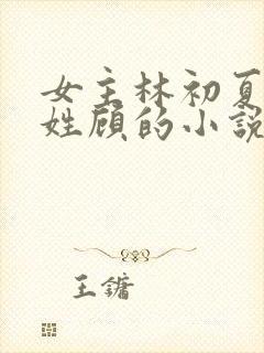 女主林初夏男主姓顾的小说