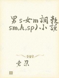 男s女m调教(sm,h,sp)小说