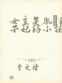 女主是胤礽的太子妃的小说