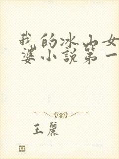 我的冰山女神老婆小说第一部