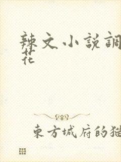 辣文小说调教校花