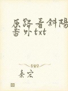 原路看斜阳全文番外txt