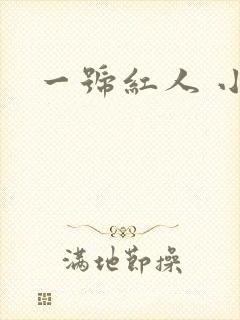 一号红人 小说封面