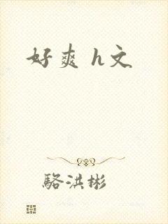好爽 h文