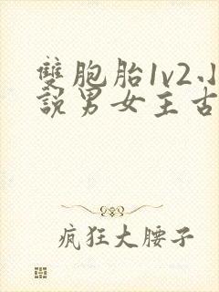 双胞胎1v2小说男女主古言