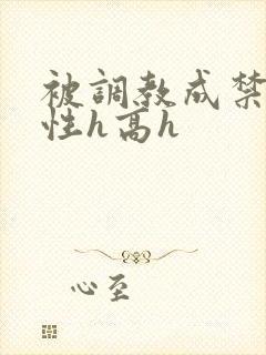 被调教成禁脔双性h高h