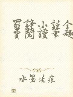 罗铮小说全文免费阅读笔趣阁