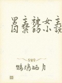 男主被女主改造囚禁的小说