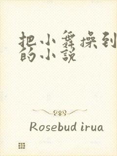 把小舞操到高潮的小说