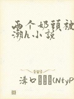 两个奶头被捏高潮h小说封面