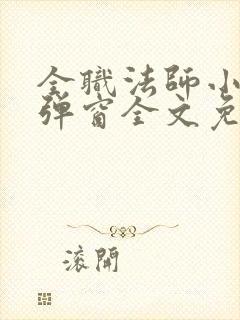 全职法师小说无弹窗全文免费阅读封面