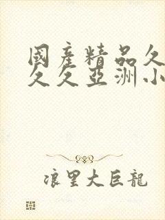 国产精品久久久久久亚洲小说