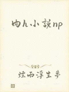 肉h小说np
