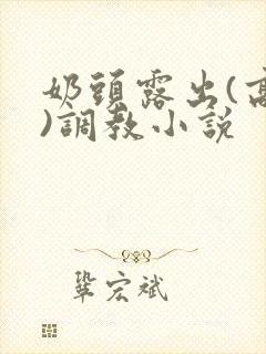 奶头露出(高h)调教小说