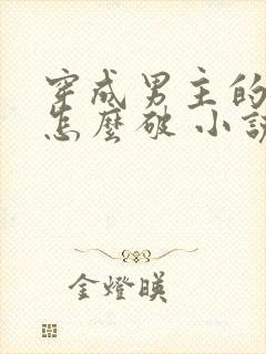 穿成男主的心魔怎么破 小说