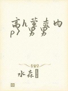 高h荤爽肉〈np〉男男