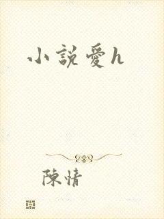 小说爱h